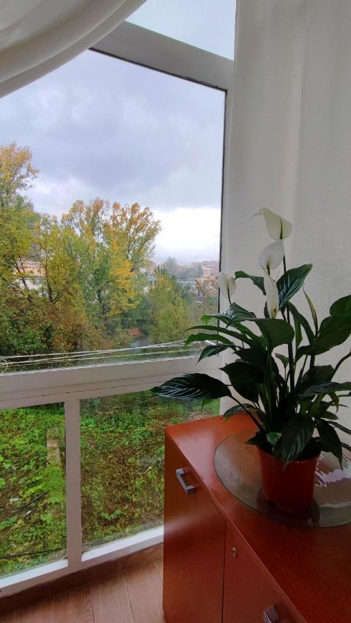 Il Roseto Bed and Breakfast Frosinone Eksteriør billede