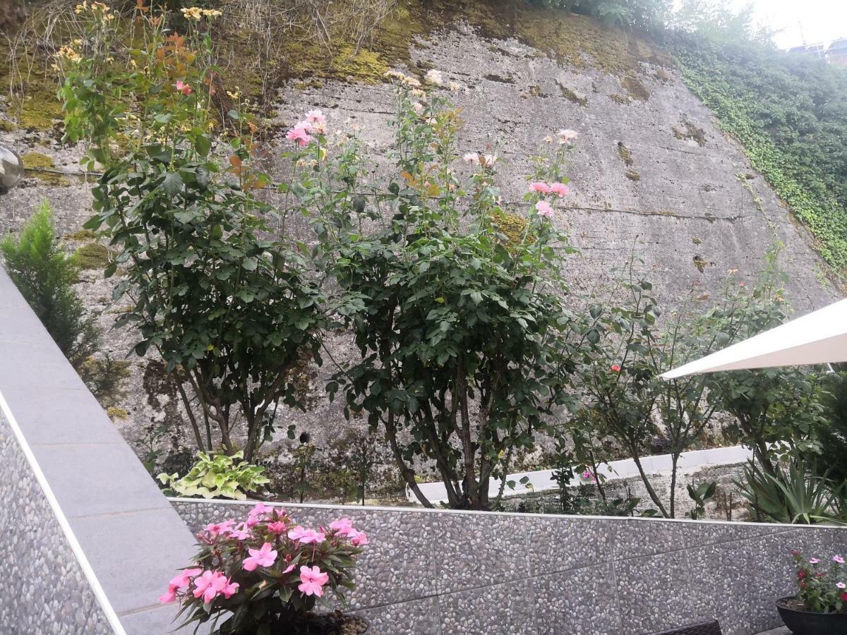 Il Roseto Bed and Breakfast Frosinone Eksteriør billede