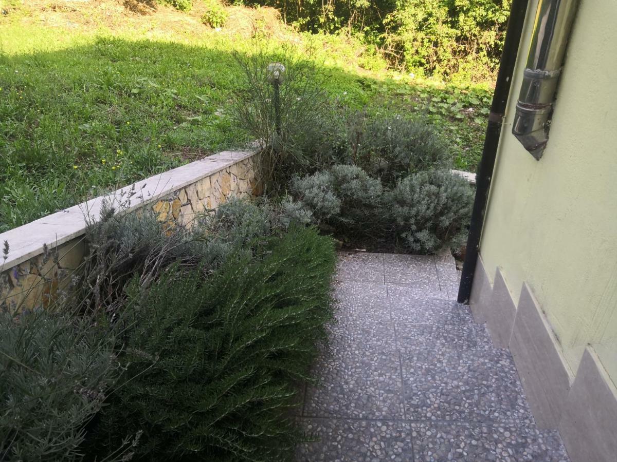 Il Roseto Bed and Breakfast Frosinone Eksteriør billede